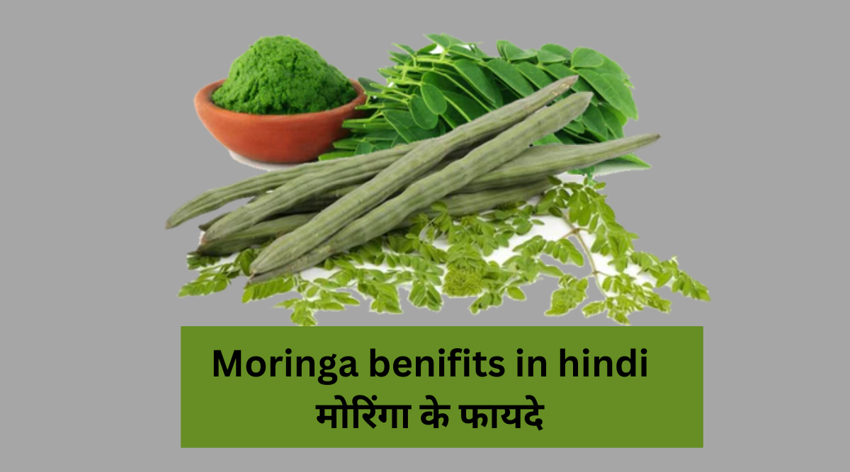 Moringa benifits in hindi | मोरिंगा के फायदे